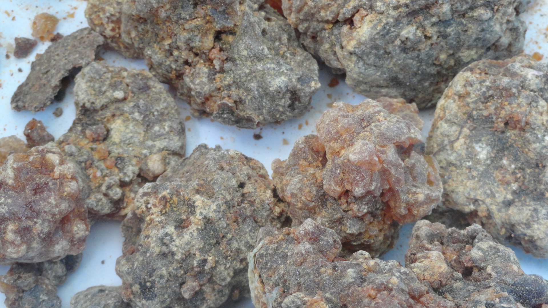 Product FRANKINCENSE MYRRH OPOPONAX ARABIC GUM SHILAJIT